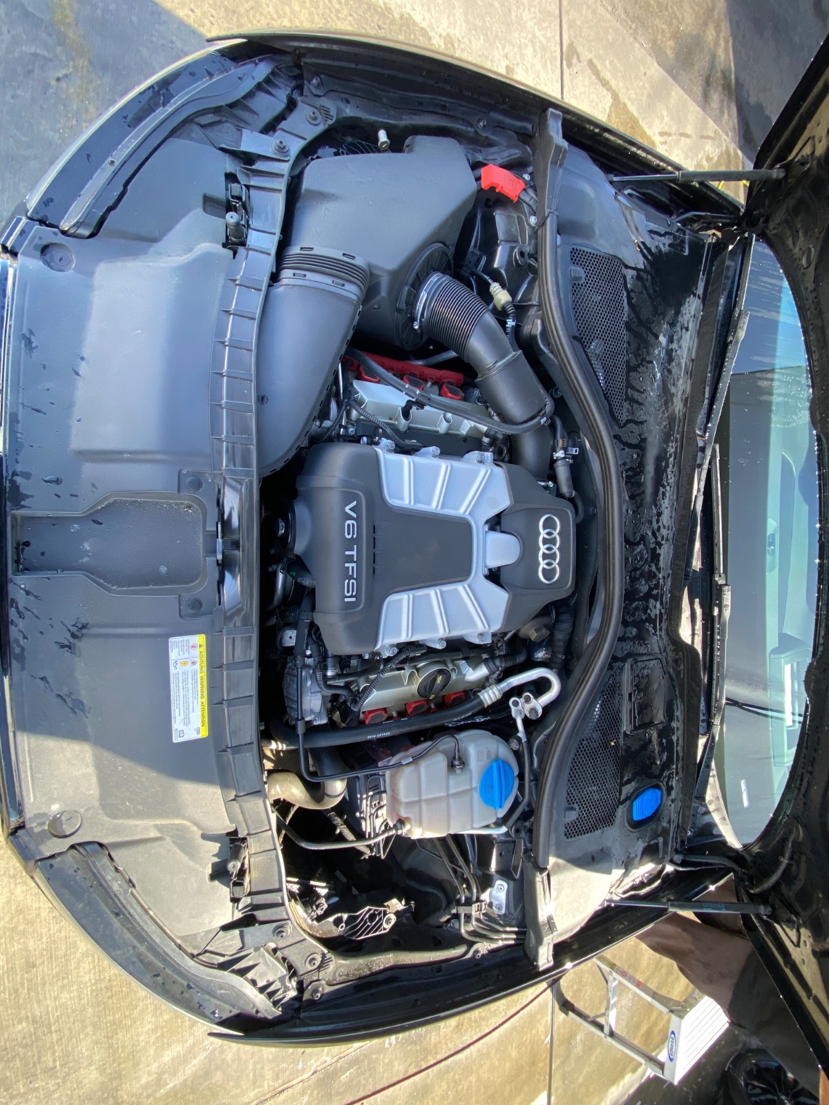 Audi Cooling System Weak Points Oceanside motorsports carlsbad ca 92058