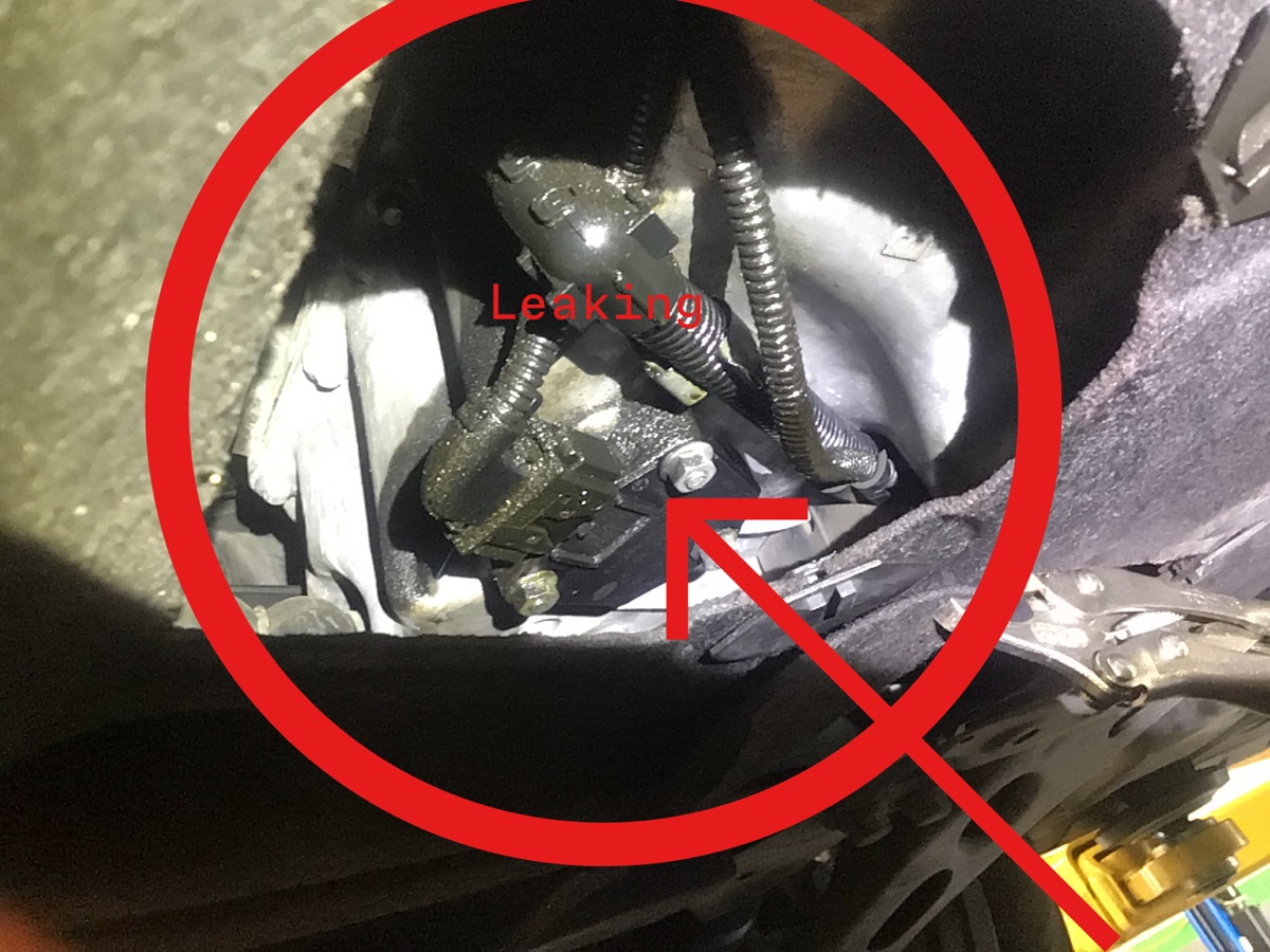 BMW oil level sensor leaking Oceanside motorsports carlsbad ca 92058