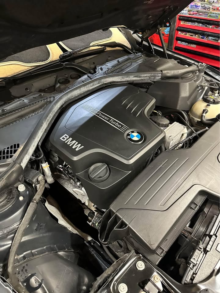 BMW N26 engines timing chain Oceanside motorsports carlsbad ca 92058